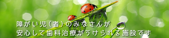 障がい児(者)のみなさんが安心して歯科治療が受けられる施設です。
